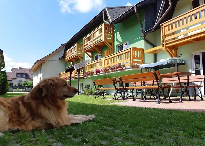 Timea Guest house Zuberec